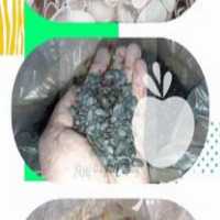 فروش کربن پوست پسته در تهران در گروه خرید فروش عمده چوب- زغال چوب گردو تبریزی خام در یکمیوه