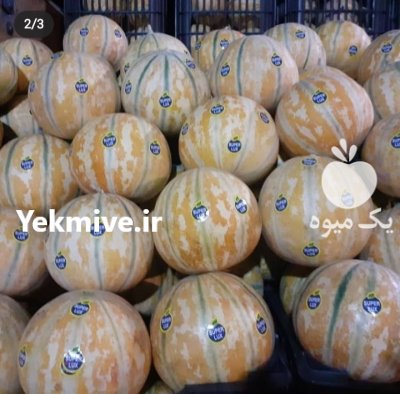 بذر شاهپسند اینوواسیدز آمریکا در کازرون در گروه خرید فروش عمده طالبی - ساوه گرمک تخم قند شیرین در یکمیوه -عکس2