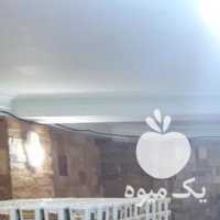 فروش چای ایرانی برند الماس شمال در تهران در گروه خرید فروش عمده چای - سبز ترش کوهی سیاه در یکمیوه