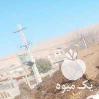 فروش کود بار حیوانی گوسفندی و گاوی در مشهد در گروه خرید فروش کود و مواد شیمیایی - اوره پتاس مرغی کمپوست آهن در یکمیوه