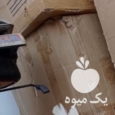 فروش مرغ و خروس جوان در تهران در گروه مرغ و خروس و بوقلمون و اردک قو قاز در یکمیوه -عکس1