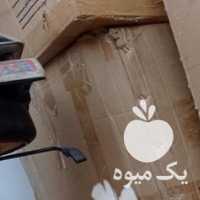 فروش مرغ و خروس جوان در تهران در گروه مرغ و خروس و بوقلمون و اردک قو قاز در یکمیوه