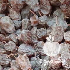 فروش کشمش آفتابی بیدانه برای امسال در قزوین در گروه آجیل - فروش عمده محصولات در یکمیوه -عکس1