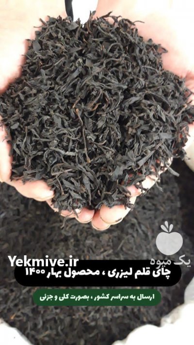 فروش چای سبز و سیاه مرغوب شمال در قدس در گروه خرید فروش عمده چای - سبز ترش کوهی سیاه در یکمیوه -عکس2