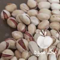 فروش پسته فندقی امسالی ازخودکشاورز در رفسنجان در گروه پسته - کوهی شامی خام اکبری تازه کله قوچی در یکمیوه