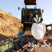 فروش کمباین موتور برزیل کاهکوب در مرودشت در گروه خرید فروش ماشین آلات کشاورزی - تراکتور تیلر کمباین مدرن در یکمیوه