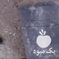 فروش خرما ظرفی آفتاب خورده در کرمان  در گروه خرید فروش عمده خرما - کبکاب تازه زاهدی خشک خارک در یکمیوه