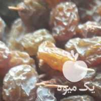 فروش کشمش آفتابی در قزوین در گروه آجیل - فروش عمده محصولات در یکمیوه