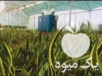 فروش پخش عمده تجهیزات گرمایشی مدرن و سنتی گلخانه در بابل  در گروه خرید فروش تجهیزات گلخانه - صنعتی خانگی هوشمند دست دوم در یکمیوه -عکس1
