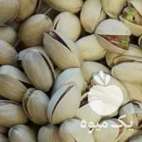 فروش انواع پسته در تهران در گروه پسته - کوهی شامی خام اکبری تازه کله قوچی در یکمیوه