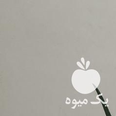 فروش گل آلوورا در اصفهان در گروه خرید فروش عمده گیاهان زینتی - گرمسیری آپارتمانی باغچه آب در یکمیوه -عکس1