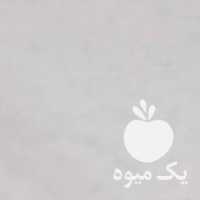فروش گلدان های کاکتوس تنه درختی در تهران در گروه خرید فروش عمده چوب- زغال چوب گردو تبریزی خام در یکمیوه
