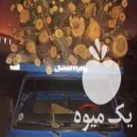 خرید و فروش انواع چوب در دامغان در گروه خرید فروش عمده چوب- زغال چوب گردو تبریزی خام در یکمیوه