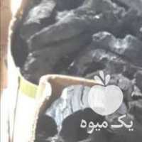 فروش زغال انگور سنتی انگور قزوین در تهران در گروه خرید فروش عمده چوب- زغال چوب گردو تبریزی خام در یکمیوه