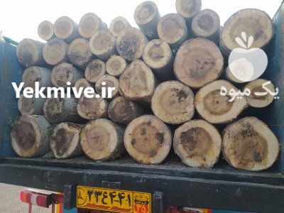 صنایع چوبی سبحان در تبریز در گروه خرید فروش عمده چوب- زغال چوب گردو تبریزی خام در یکمیوه