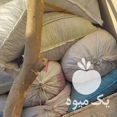 فروش ضایعات خرما  کده  در کرمان  در گروه خرید فروش عمده خرما - کبکاب تازه زاهدی خشک خارک در یکمیوه -عکس1