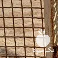 آگهی مشابه فروش یه جفت مرغ و خروس مینیاتوری در بوشهر در گروه مرغ و خروس و بوقلمون و اردک قو قاز در یکمیوه