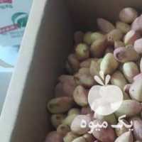 فروش پسته تازه دامغان عباسعلی در قم در گروه پسته - کوهی شامی خام اکبری تازه کله قوچی در یکمیوه