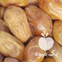 فروش خرمای زاهدی  قصب  در شنبه در بوشهر در گروه خرید فروش عمده خرما - کبکاب تازه زاهدی خشک خارک در یکمیوه