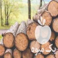 فروش عمده انواع چوب گلخانه ای و پالتی وخشک و  در اصفهان در گروه خرید فروش عمده چوب- زغال چوب گردو تبریزی خام در یکمیوه