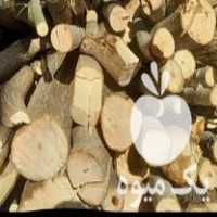 خریدار چوب درمحل در همدان در گروه خرید فروش عمده چوب- زغال چوب گردو تبریزی خام در یکمیوه