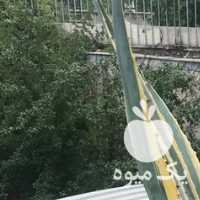 فروش گل کاکتوس ابلغ در تهران در گروه خرید فروش عمده گیاهان زینتی - گرمسیری آپارتمانی باغچه آب در یکمیوه