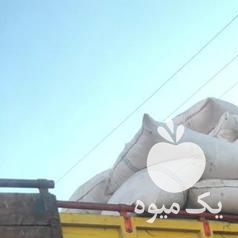 فروش پوست پسته در یزد در گروه پسته - کوهی شامی خام اکبری تازه کله قوچی در یکمیوه -عکس1