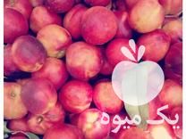 نهالستان صالحی فروش انواع نهال و کم یاب در کردکوی در گروه خرید فروش عمده خرمالو - خرمالو رسیده نارس برگ عمده در یکمیوه -عکس1