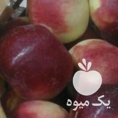 فروش سیب در ارومیه در گروه خرید فروش عمده سیب - زرد و قرمز گلاب پاییزه در یکمیوه -عکس1