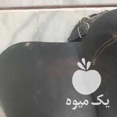 فروش زین اسب عبدالخالق در اصفهان در گروه اسب و الاغ خر و فروش قاطر- ترکمن عربی سفید نر و ماده در یکمیوه -عکس1