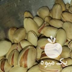 فروش پسته کله قوچی درهم در یزد در گروه پسته - کوهی شامی خام اکبری تازه کله قوچی در یکمیوه -عکس1