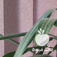 فروش تعدادی گل و کاکتوس های بزرگ در اصفهان در گروه خرید فروش عمده گیاهان زینتی - گرمسیری آپارتمانی باغچه آب در یکمیوه -عکس1