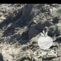 فروش کودگوسفندی در اصفهان در گروه خوراک دام و طیور - پرواری شیری علوفه یونجه در یکمیوه