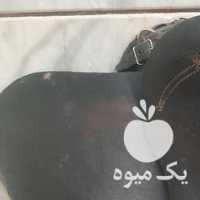 فروش زین اسب عبدالخالق در اصفهان در گروه اسب و الاغ خر و فروش قاطر- ترکمن عربی سفید نر و ماده در یکمیوه