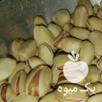 فروش پسته کله قوچی درهم در یزد در گروه پسته - کوهی شامی خام اکبری تازه کله قوچی در یکمیوه