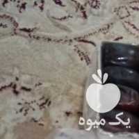 فروش خرما  در کرمان  در گروه خرید فروش عمده خرما - کبکاب تازه زاهدی خشک خارک در یکمیوه