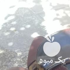 یک عددزین اسب شیرازی دارم واسه فروش در اصفهان در گروه اسب و الاغ خر و فروش قاطر- ترکمن عربی سفید نر و ماده در یکمیوه -عکس1