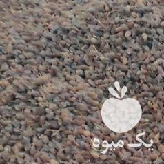 فروش کشمش آفتابی و سایه خشک ملایر در همدان در گروه آجیل - فروش عمده محصولات در یکمیوه -عکس1