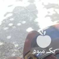 یک عددزین اسب شیرازی دارم واسه فروش در اصفهان در گروه اسب و الاغ خر و فروش قاطر- ترکمن عربی سفید نر و ماده در یکمیوه