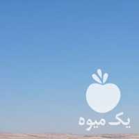 فروش سیب زمینی سانتا در کرمانشاه در گروه خرید فروش عمده سیب زمینی - زودرس دیررس آگریا اسپریت اردبیل همدان در یکمیوه