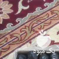 فروش خرما  در کرمان  در گروه خرید فروش عمده خرما - کبکاب تازه زاهدی خشک خارک در یکمیوه