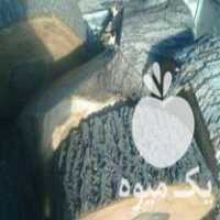 خریدار همه نوع چوب درختان خشک و تر در ابهر در گروه خرید فروش عمده چوب- زغال چوب گردو تبریزی خام در یکمیوه