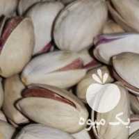 فروش پسته امسال احمد اقایی در تهران در گروه پسته - کوهی شامی خام اکبری تازه کله قوچی در یکمیوه
