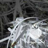 فروش پوشال سیب در مراغه در گروه خرید فروش انواع بسته بندی کاغذی - کارتن مقوا در یکمیوه