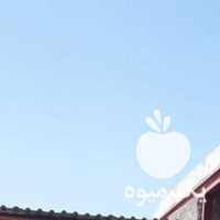 فروش اسب کهر دره شور در اصفهان در گروه اسب و الاغ خر و فروش قاطر- ترکمن عربی سفید نر و ماده در یکمیوه