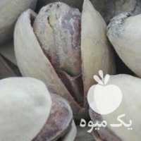 آگهی مشابه فروش پسته رفسنجان خندان و احمد آقایی در تهران در گروه پسته - کوهی شامی خام اکبری تازه کله قوچی در یکمیوه