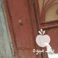 فروش مرغ برهما لایت و خروس محلی در تهران در گروه مرغ و خروس و بوقلمون و اردک قو قاز در یکمیوه