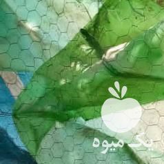 فروش خروس و‌‌مرغ لاری در کرمان  در گروه مرغ و خروس و بوقلمون و اردک قو قاز در یکمیوه -عکس1