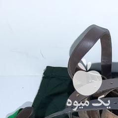 فروش تعدادی لوازم اسب در تهران در گروه اسب و الاغ خر و فروش قاطر- ترکمن عربی سفید نر و ماده در یکمیوه -عکس1