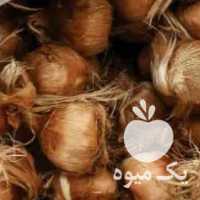 فروش پیاز زعفران مرغوب در تهران در گروه خرید فروش عمده زعفران - قائنات قیمت خراسان بهرامن گرم در یکمیوه